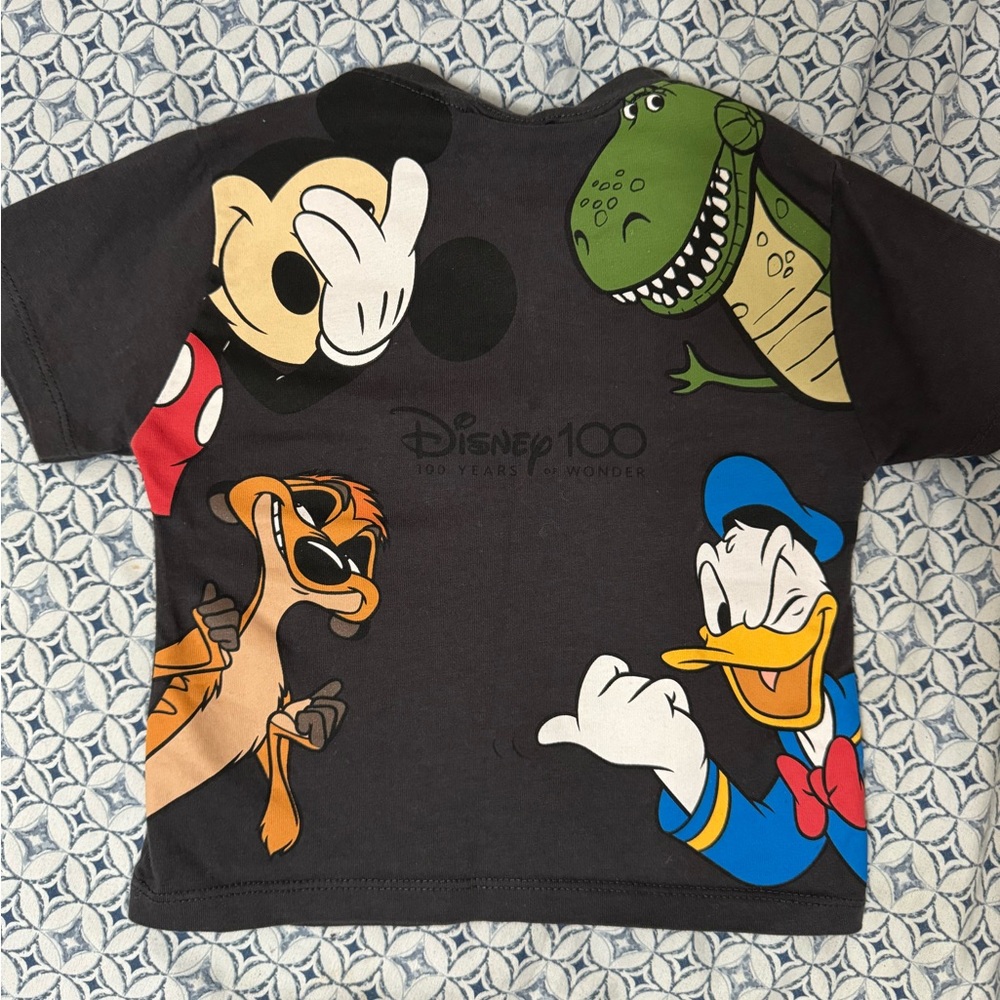 Baby Disney Zara Shirt